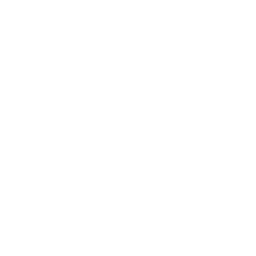 Launch